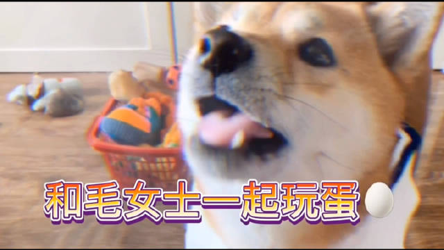 马上就在家办公三个月了...